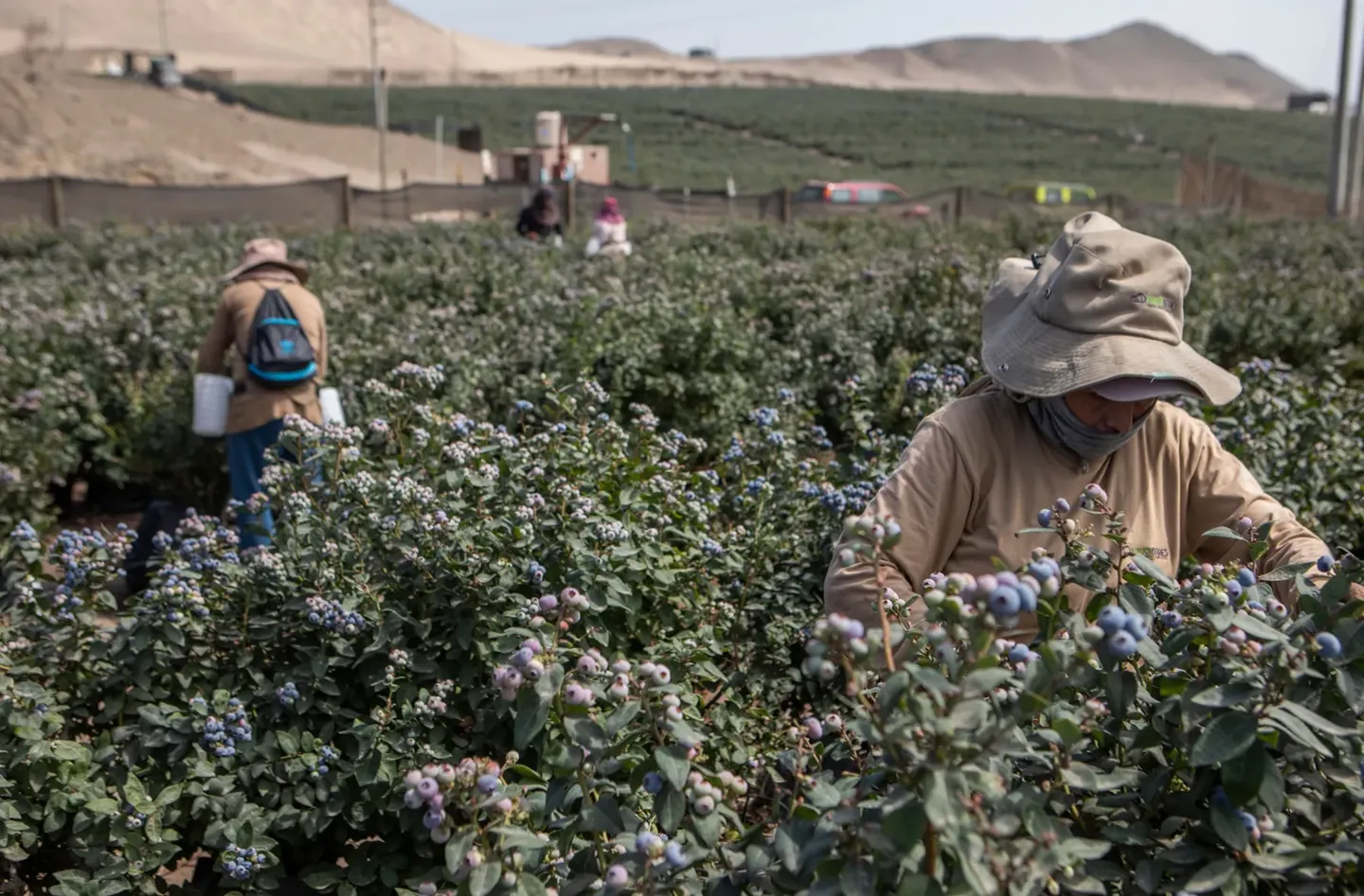 U.S. Forecasts Record-Breaking El Niño — Bloomberg