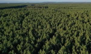 Володимир Зеленський прокоментував зізнання Ірану у постачанні дронів для росії