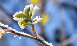 Рада на вимогу Заходу проголосувала за збільшення штату НАБУ