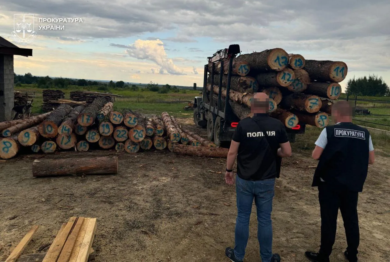 Незаконна вирубка лісу на Львівщині: викрито схему збитків на 9 мільйонів гривень