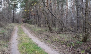 У Києві та Вінниці викрито схему фіктивного працевлаштування військовозобов’язаних