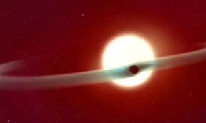 Вітряні станції вперше стали головним джерелом електроенергії у Великій Британії