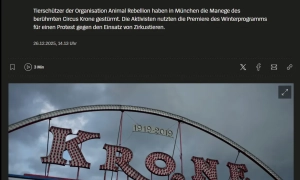 Білоруський річковий флот фактично припинив існування через банкрутство