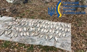 У Києві можливі тимчасові зупинки електротранспорту через проблеми в енергосистемі