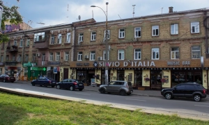 Київський зоопарк випустив на волю зубра