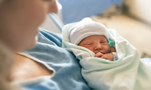 Білоруський річковий флот фактично припинив існування через банкрутство