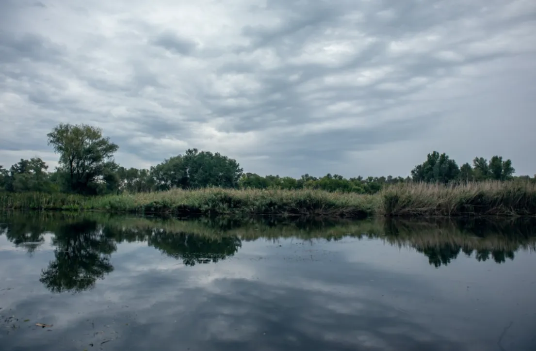 На Запоріжжі запровадили заборону на перебування цивільних у прибережних плавнях
