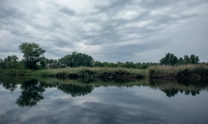 В уряді уточнили, яку допомогу дозволили надавати лікарням під час карантину