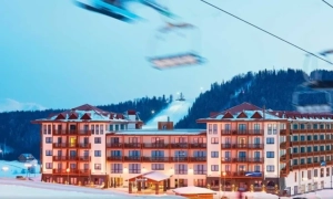 У Лиманському лісництві загасили пожежу, що тривала дев’ять днів