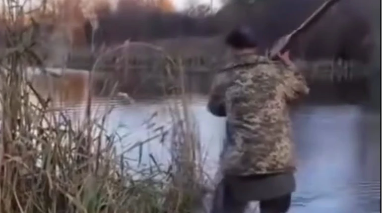 На Житомирщині затримали чоловіка, який бив веслом вагітну кішку