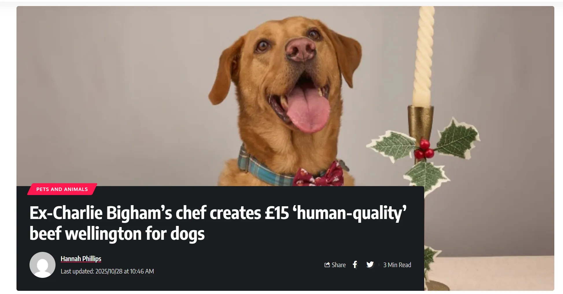 У Британії створили «людську» яловичину для собак У Британії створили «людську» яловичину для собак