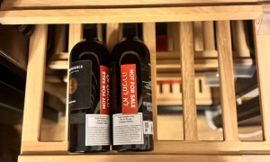 Єврокомісія запустила процес засудження Угорщини за закон про статус «іноземного агента»