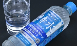 У центрі нашої голови відкрили невідомий досі орган. Як це допоможе в лікуванні людей із раком?