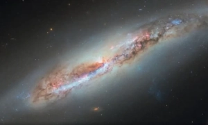 Starlink Direct to Cell запрацював на iPhone по всій Україні