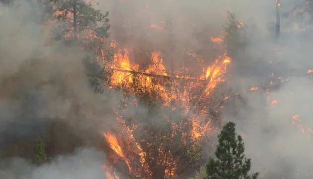 In Germany, firefighters are unable to extinguish a massive wildfire due to ammunition explosions