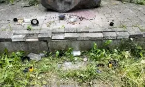 Видео: в Бразилии попугай сорвал футбольный матч, залетев на поле