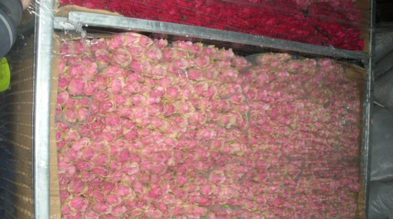 Чорний та сірий імпорт квітів завдав Україні понад 600 млн грн збитків