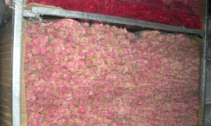 Франція відмовила Україні в екстрадиції Жеваго