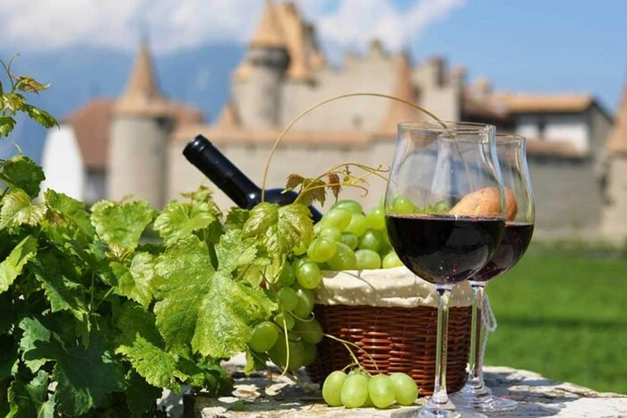 Франція відновлює «заборонені» американські сорти винограду