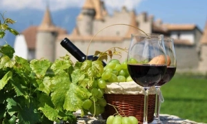 Стали відомі подробиці тренувальної місії Євросоюзу для ЗСУ