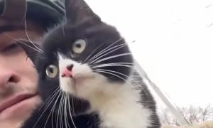 Зведення Генштабу: ЗСУ відбили ворожі атаки на 10 ділянках на Херсонщині