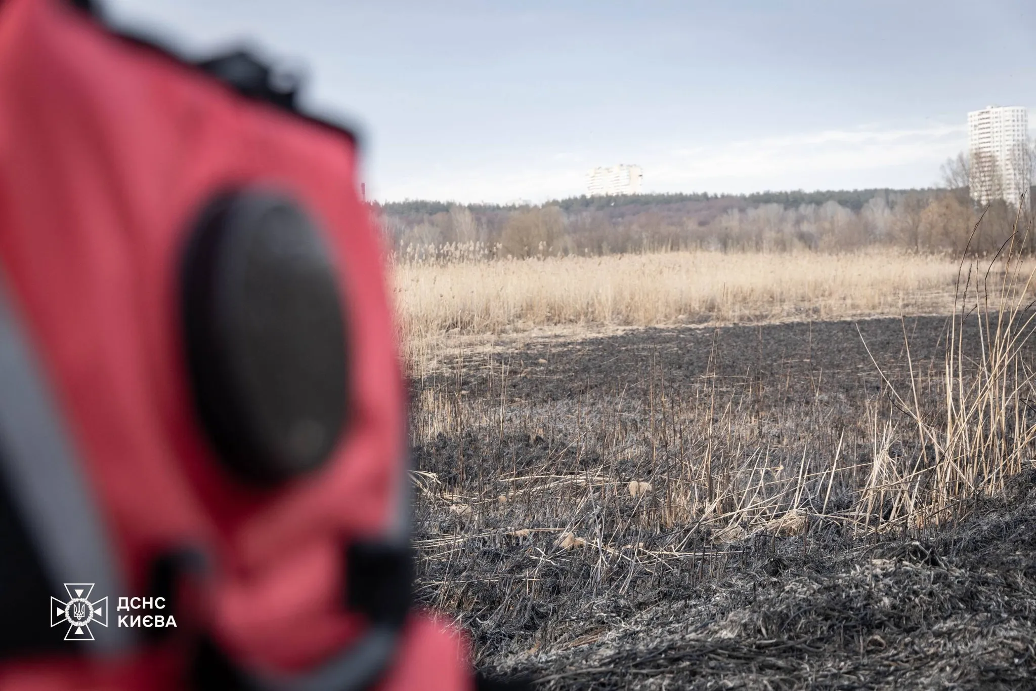 Поблизу зони відпочинку «Мир» у Києві вигоріло пів гектара трави