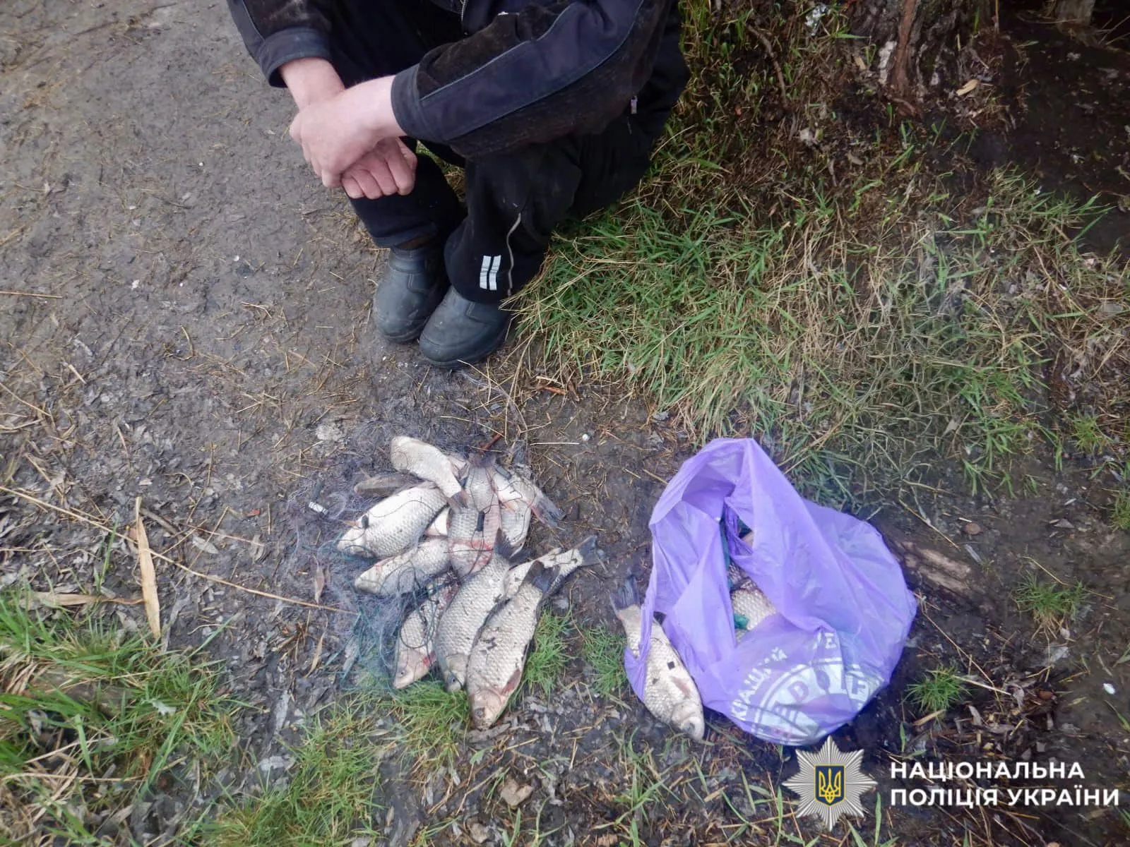 На Київщині викрили браконьєрів із збитками понад 90 тисяч гривень