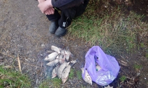 В МЗС України відреагували на заяви Венса щодо територій