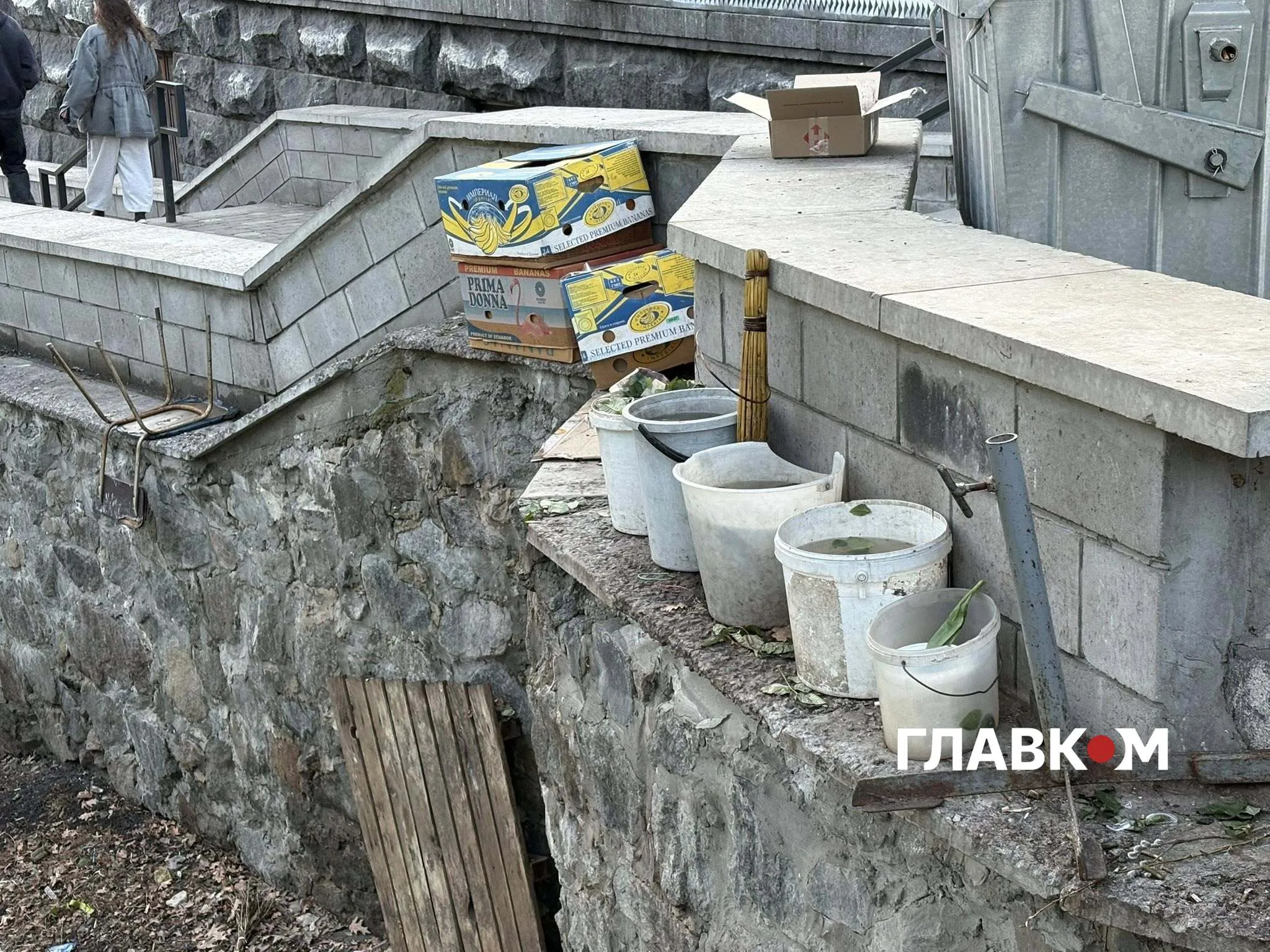 Ботсад Фоміна у центрі Києва потерпає від сміття та омели