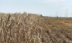 За сутки враг понес значительные потери на фронте - Генштаб ВСУ