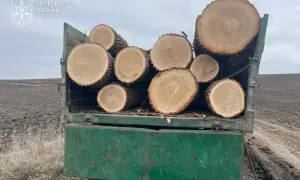 Мэр в Одесской области задержан за взятку в размере 35 тысяч долларов