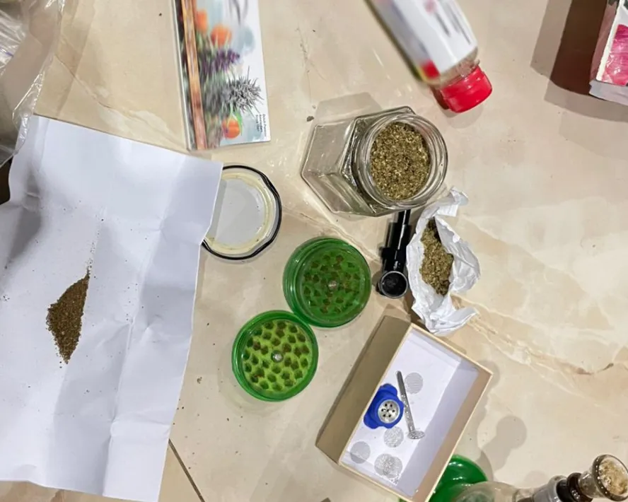 На Львівщині викрили банду, що вирощувала коноплі в лісі