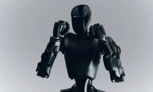 В Харькове решили спрятать от врага городскую новогоднюю елку