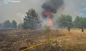 У Києві реконструюють Наводницький парк