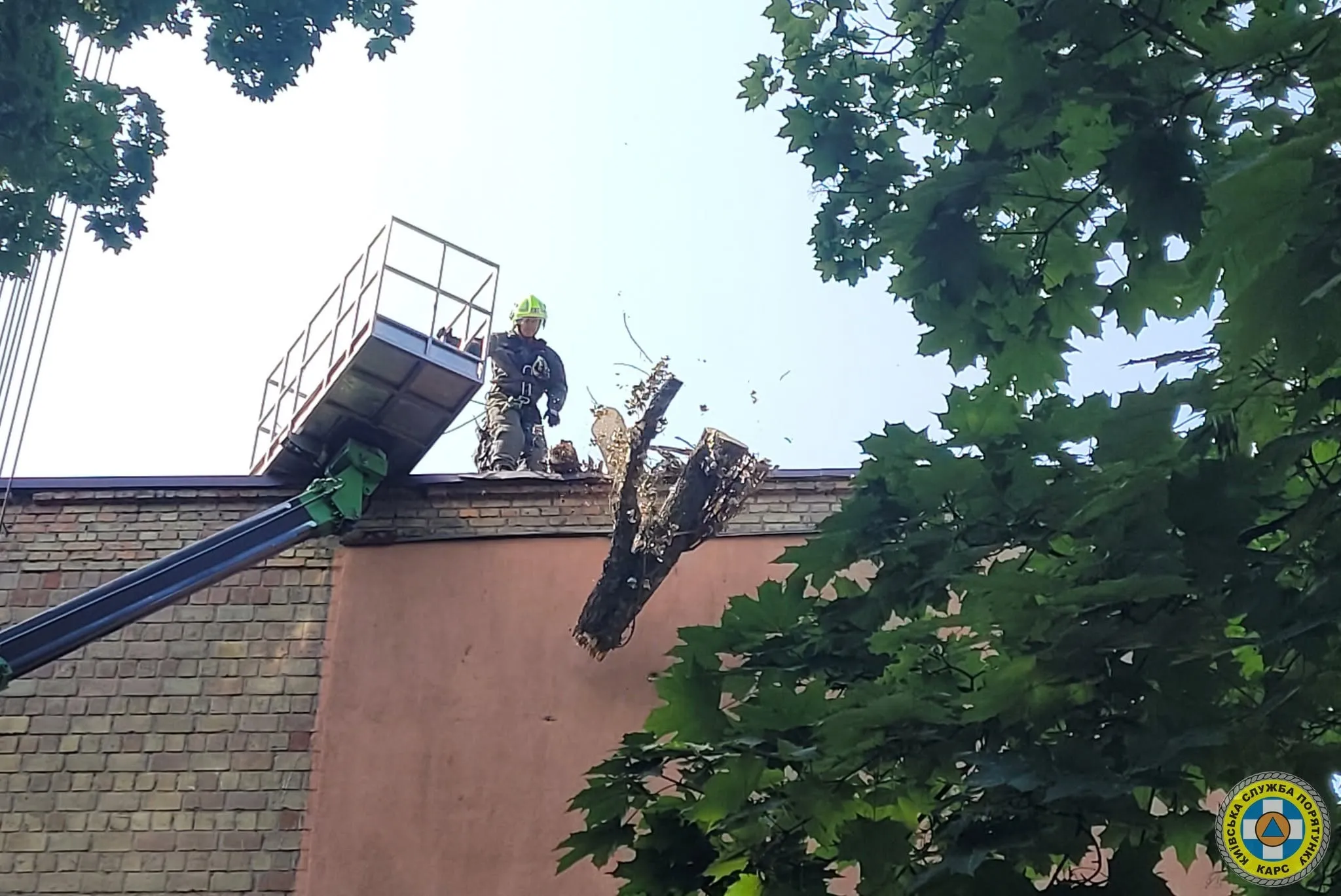 У Києві прибрали чотиритонне дерево, що впало на житловий будинок