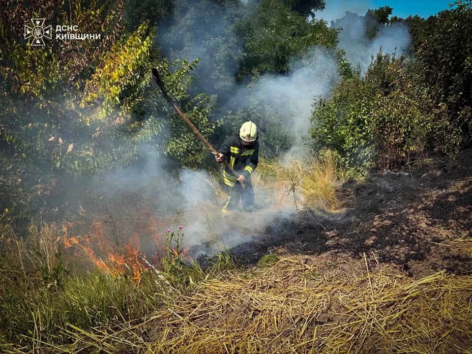 На Київщині за добу сталося понад 30 пожеж в екосистемах через спеку