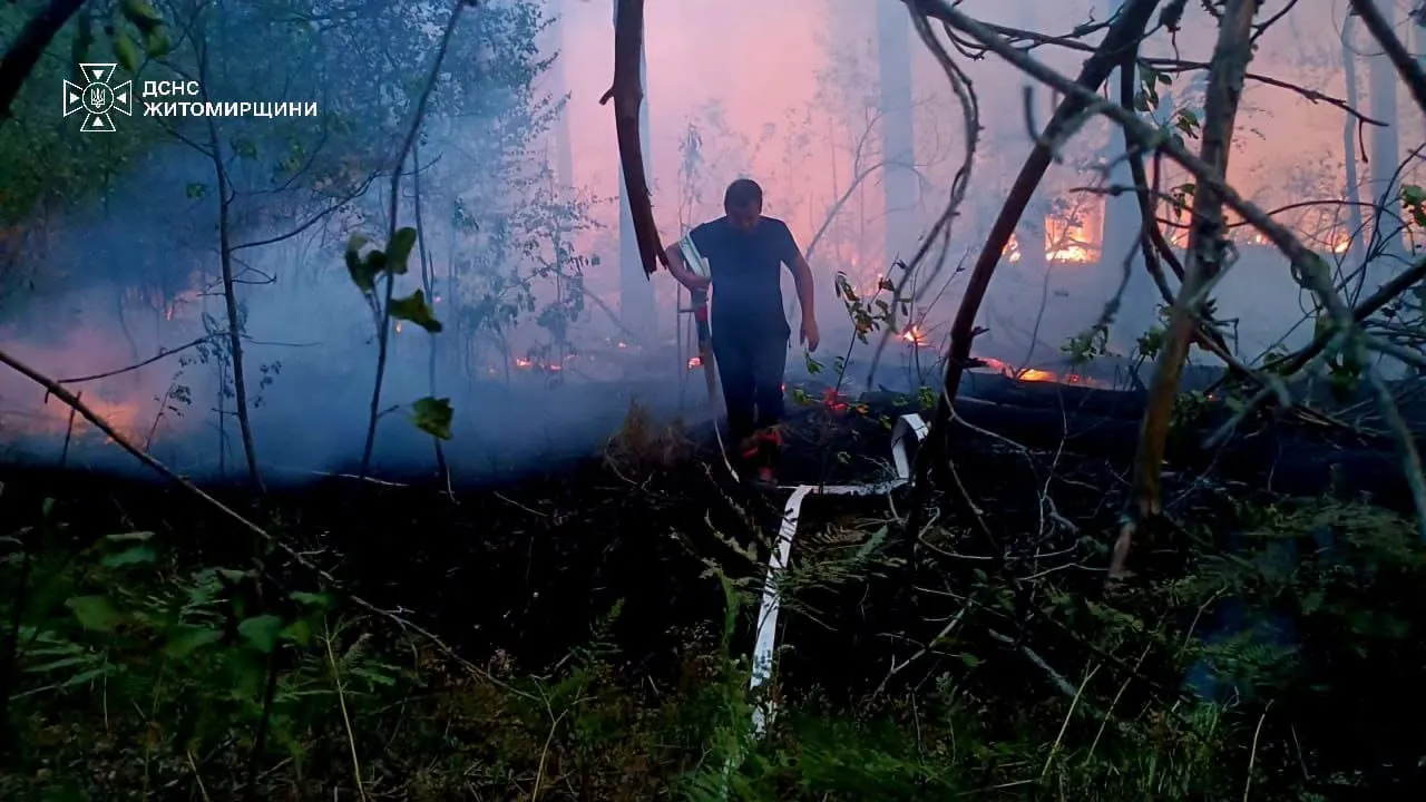 In the Zhytomyr region, firefighters are battling a forest fire in the Drevlyansky Nature Reserve