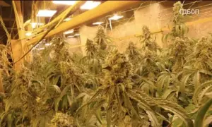 The Czech Republic should more actively adopt Ukraine’s experience in the field of drones — Senator