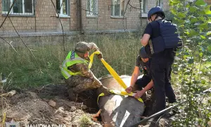 Видео: в Киеве левобережные районы оказались в дыму из-за пожара на свалке
