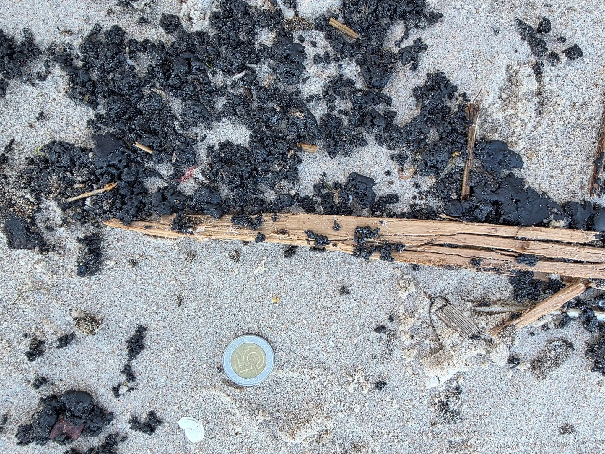 Oil spill discovered off the coast of Poland