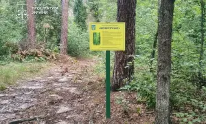 СБУ викрила мережу АЗС на фінансуванні терористів ОРДЛО