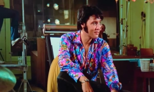 Японська залізниця запустила поїзди з котами