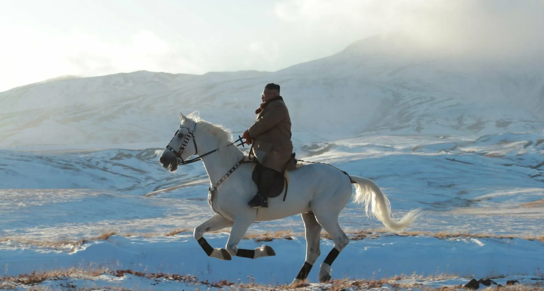 РФ поставила КНДР понад 100 породистих коней для кавалерійського полку