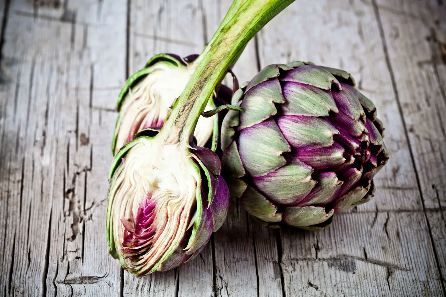 Artichoke varieties have been officially registered in Ukraine for the first time