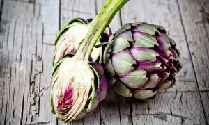 Artichoke varieties have been officially registered in Ukraine for the first time