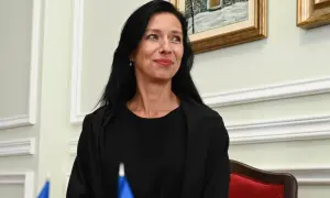 В Естонії залишаються 25 тисяч українців із 89 тисяч, що прибули після початку війни