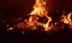 В Украине может быть введено военное положение