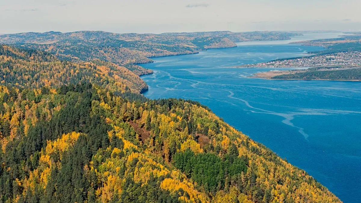 Госдума рф розгляне рубки лісу на Байкалі