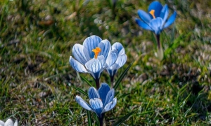 Ексдепутата Київради підозрюють в недекларуванні майна на десятки мільйонів гривень