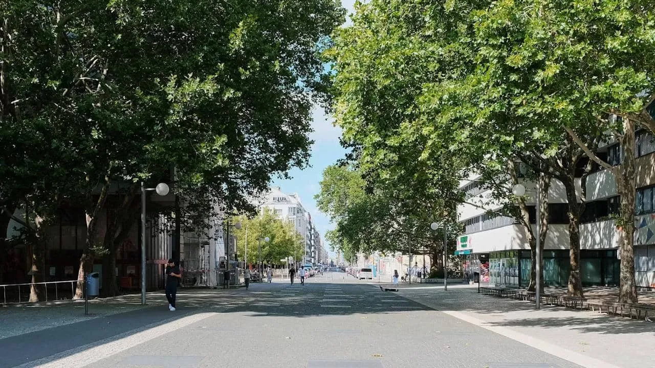 Берлін висадить майже мільйон дерев до 2040 року